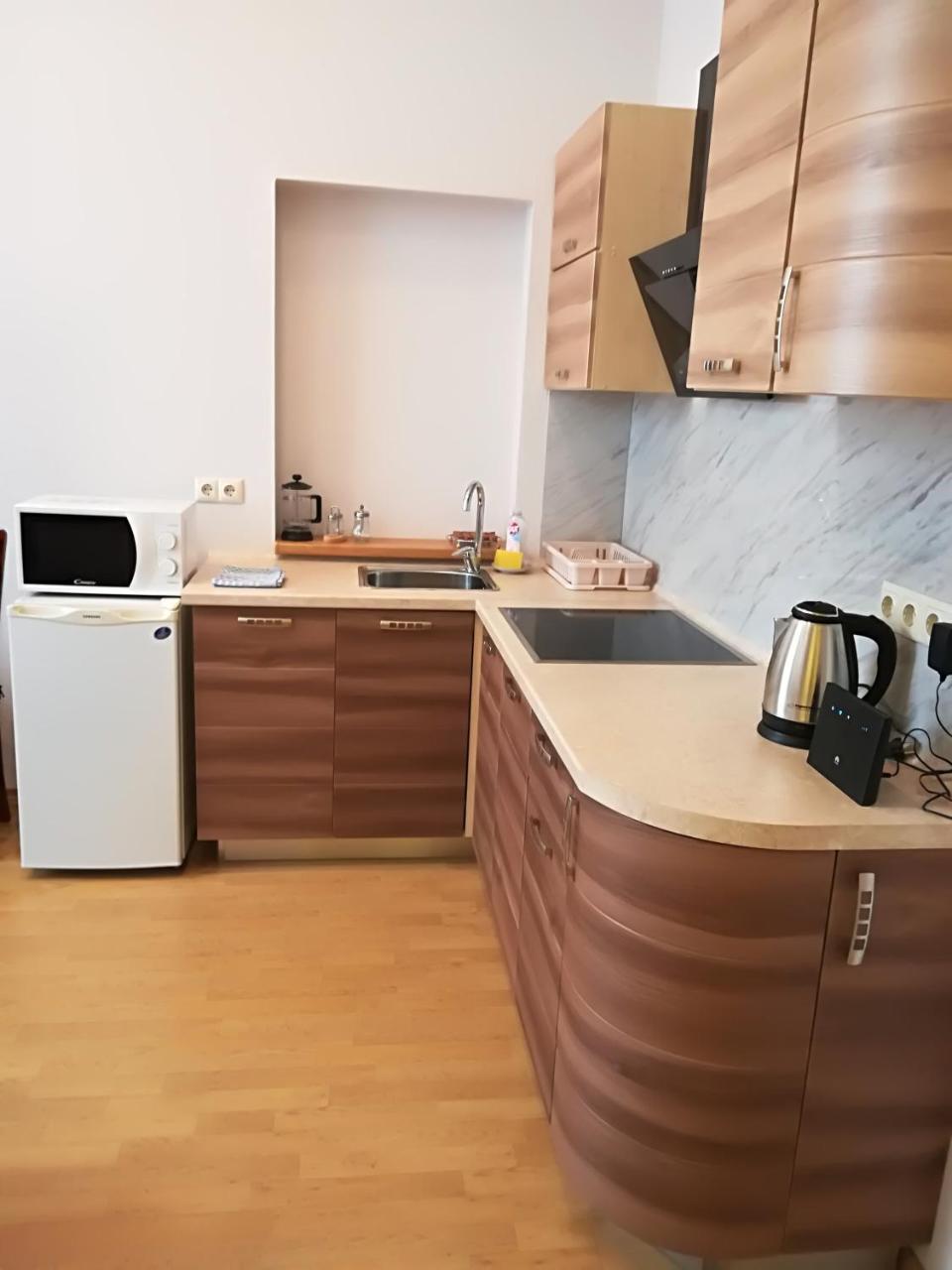 Raina Lux Apartment Рига Номер фото